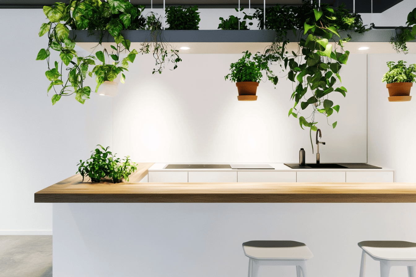Cuisine blanche minimaliste avec plan de travail en bois et plantes suspendues